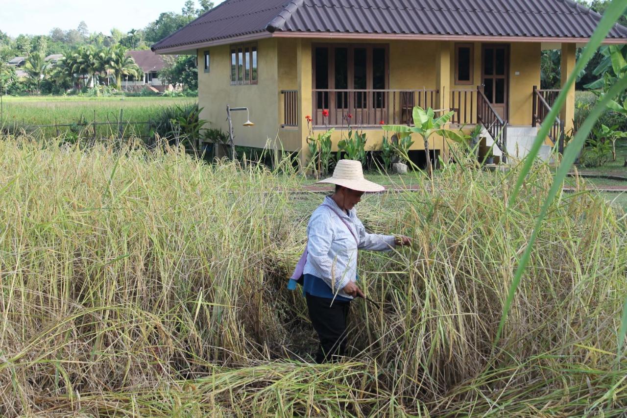 Country Retreat Hotel Mae Rim Exterior photo